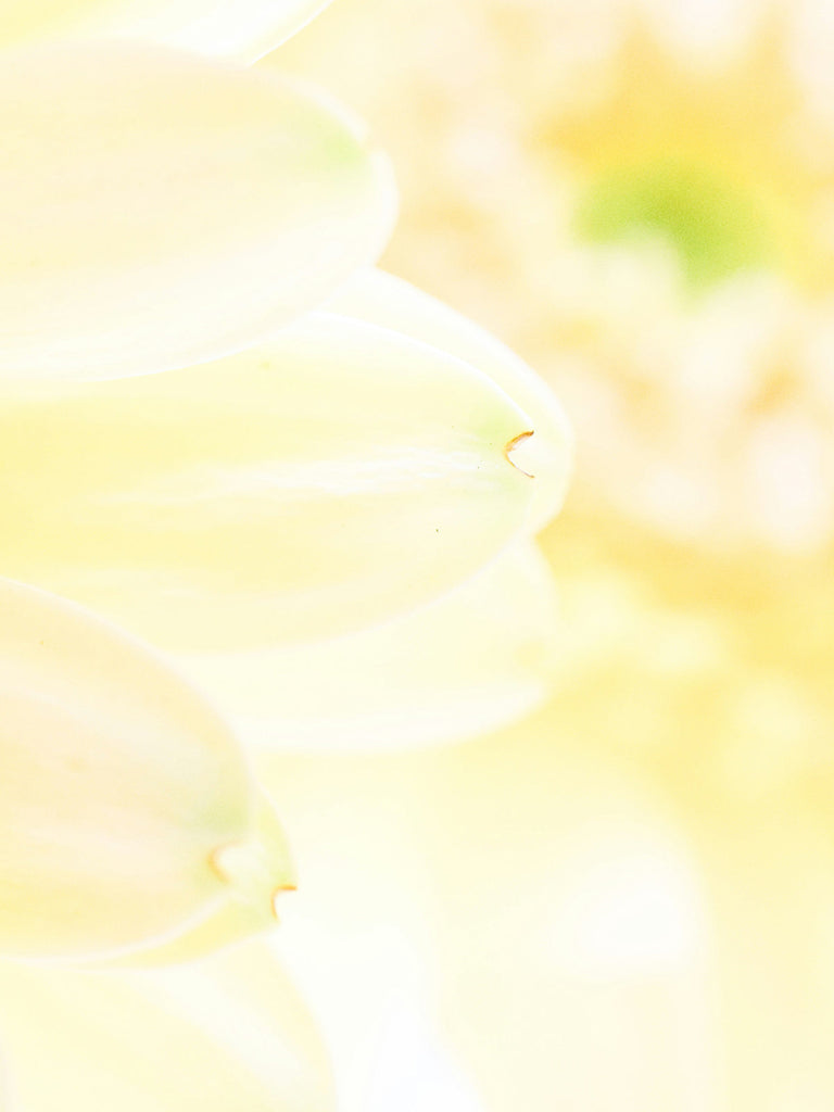 ローズヒップ ミラクルオイル