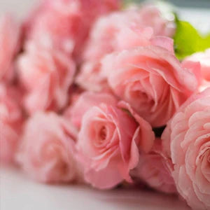 ダマスクローズオイル