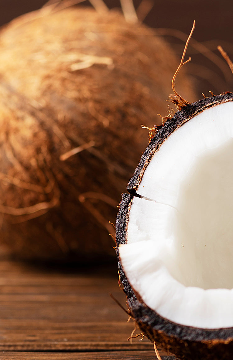 EVOLVEのこだわりをのぞいてみる