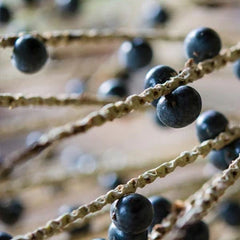 アサイーオイル