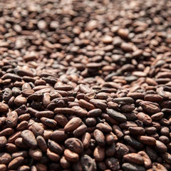 カカオパウダー