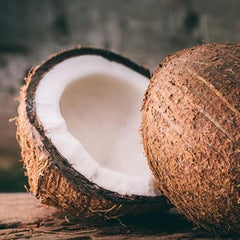 ココナッツシェル