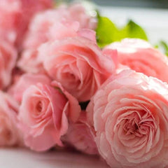 ダマスクローズウォーター