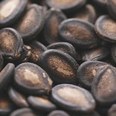 カラハリメロンシードオイル