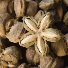 サチャインチエキス