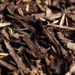 ヤナギ樹皮エキス