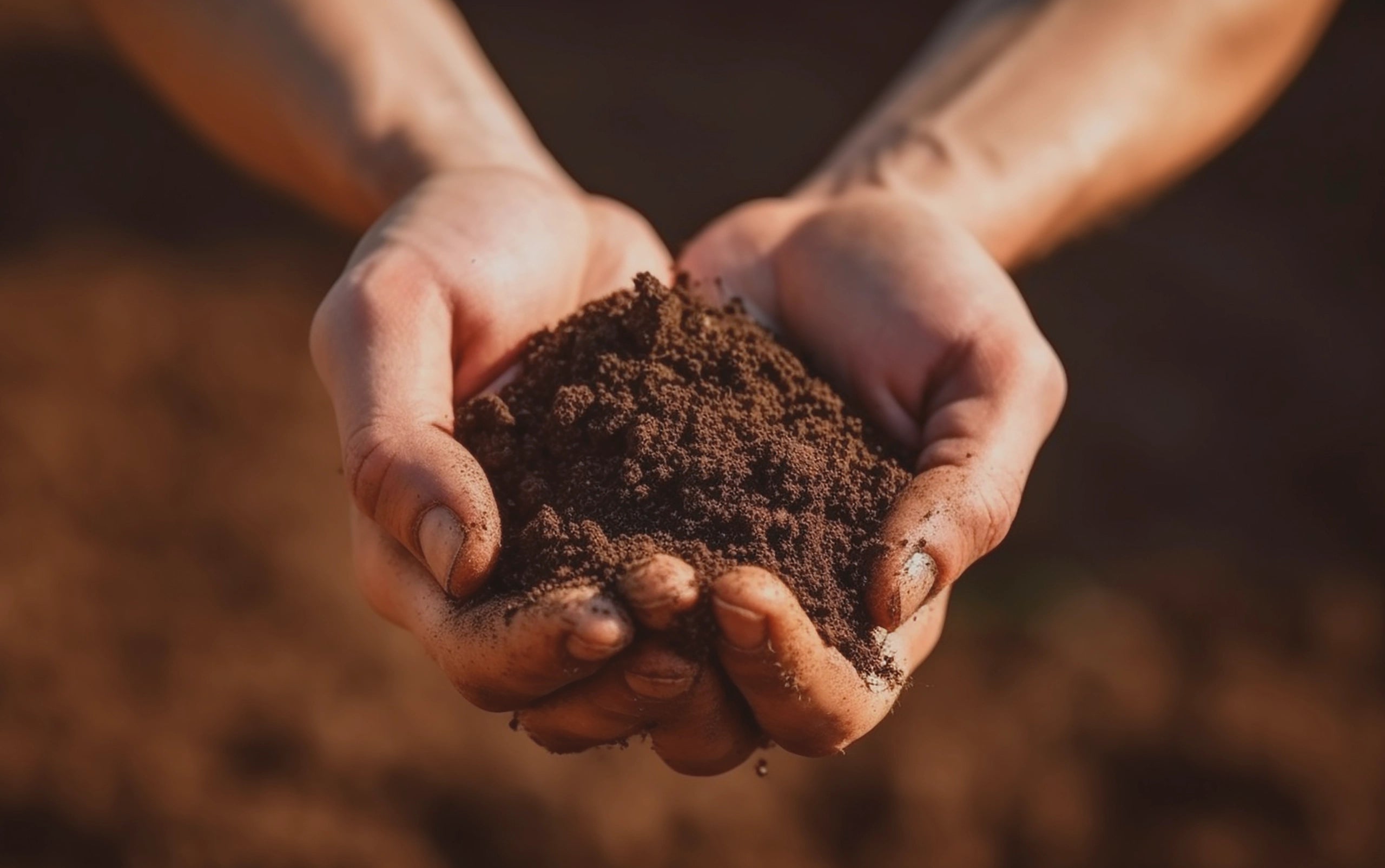 48% of our physically processed ingredients are organic